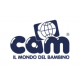 Cam