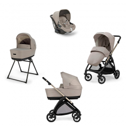 Коляска 4 в 1 Inglesina Electa System Quattro с автокреслом Darwin Infant Recline