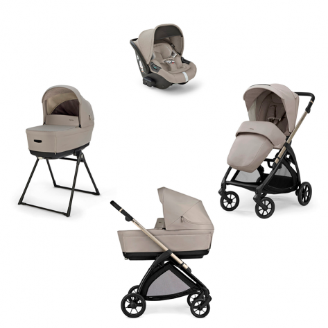 Коляска 4 в 1 Inglesina Electa System Quattro з автокріслом Darwin Infant Recline