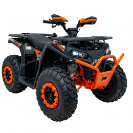 Квадроцикл із двигуном внутрішнього згоряння Ramiz Quad 200CC PRO RIDER